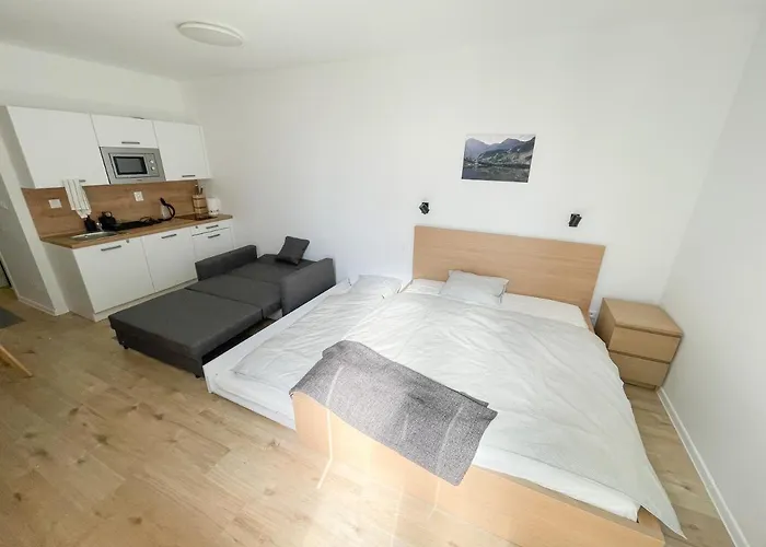 公寓 Apartman Vila Zuberec 斯祖贝莱克